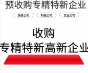 北京XXX新能源科技有限公司