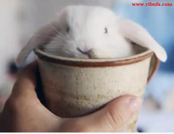 北京注册公司之前你一定要知道的几点 北京注册公司之前你一定要知道的几点