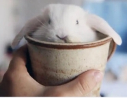 北京注册公司之前你一定要知道的几点