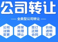公司股东侵占公司95万判多少年